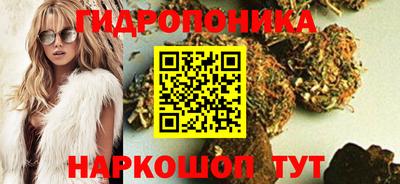 тгк Кандалакша