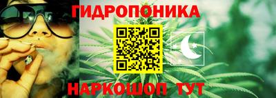 тгк Кандалакша