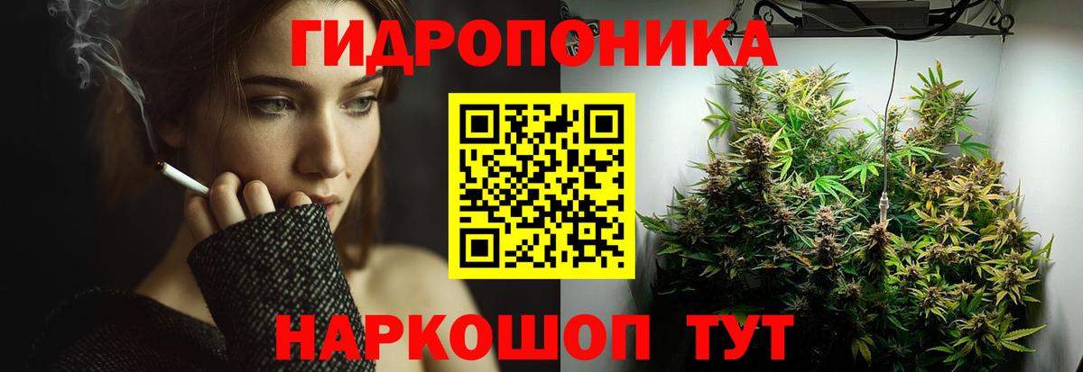 МАРИХУАНА конопля  Шишки марихуана Bruce Banner  Бошки Шишки THC 21%  Кызыл  Бошки Шишки марихуана  Вход с VPN 